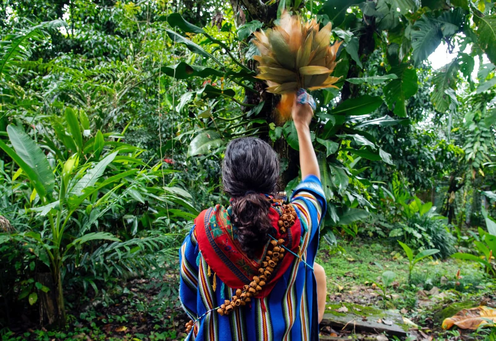 Plant medicine facilitator at Posada Natura