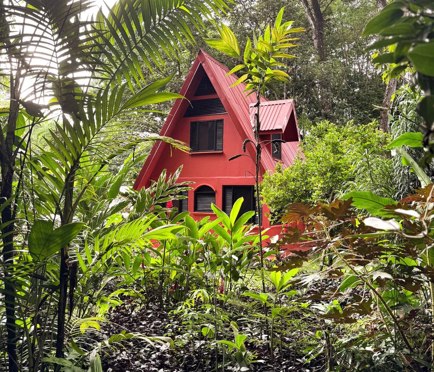 Nature-immersed accommodation at Posada Natura