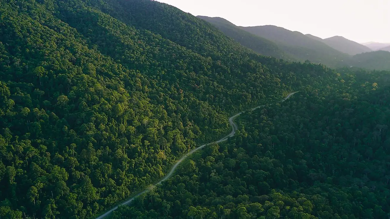 Forested mountains of the Cerro Nara corridor